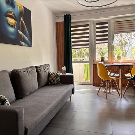 Apartament Teresa Nysa Buitenkant foto