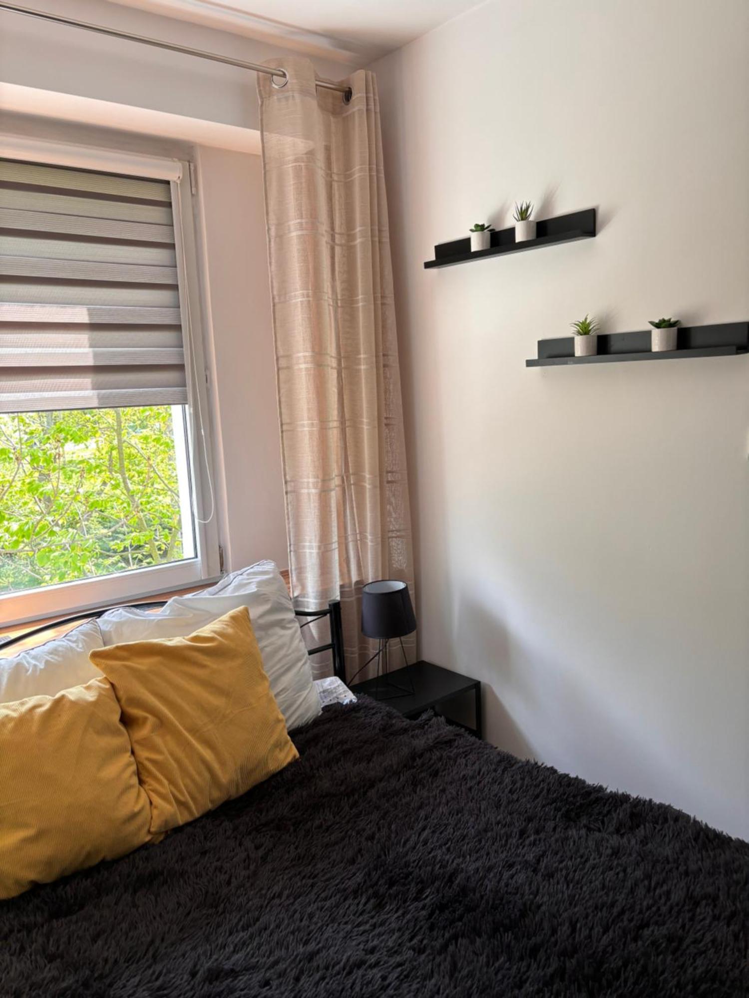 Apartament Teresa Nysa Buitenkant foto